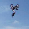 Blake Williams